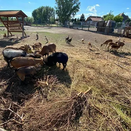 营地 Pri Vode Aj Pre Rybarov 3